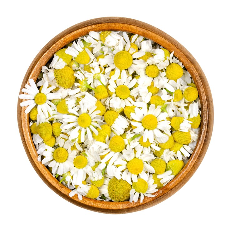 Fiori di camomilla in ciotola di legno
