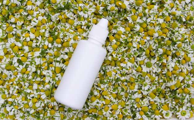 Fiori di camomilla per prodotti cosmetici tisana o trattamento Contenitori in plastica bianca