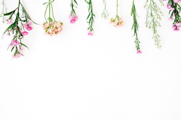 Fiori di campo colorati su bianco