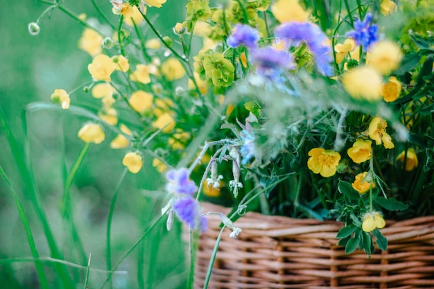 Fiori di campo giallo blu in un cesto di vimini in legno Un cesto di fiori selvatici freschi nel campo di copia spazio a fuoco selettivo