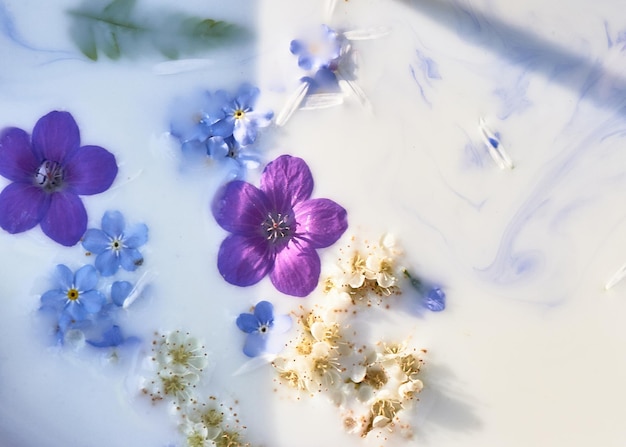 Fiori di campo in acqua lattiginosa con striature di vernice Immagine di sfondo astrazione viola e blu Tenerezza e leggerezza
