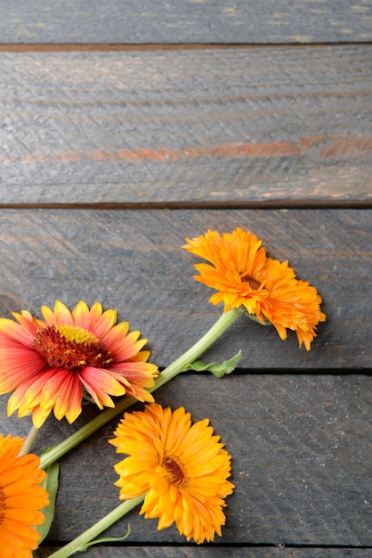 Fiori di campo luminosi su sfondo di legno