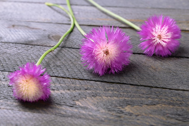 Fiori di campo su fondo di legno