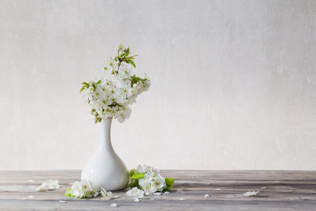 Fiori di ciliegio in vaso