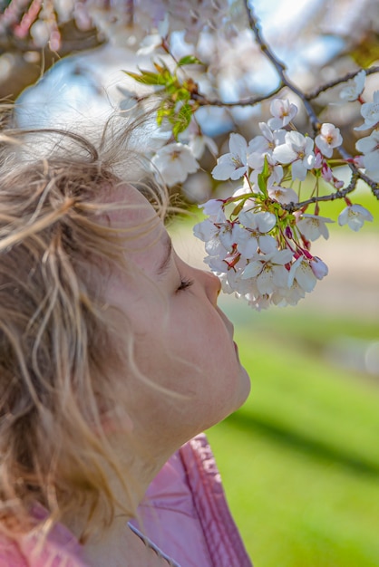 Fiori di ciliegio. La ragazza gode del profumo dei fiori di ciliegio giapponesi. Fiore di ciliegio in Giappone in primavera.