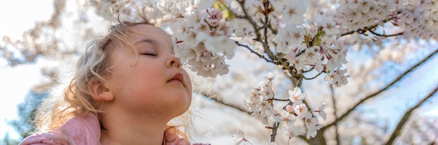 Fiori di ciliegio. La ragazza gode del profumo dei fiori di ciliegio giapponesi. Fiore di ciliegio in Giappone in primavera.