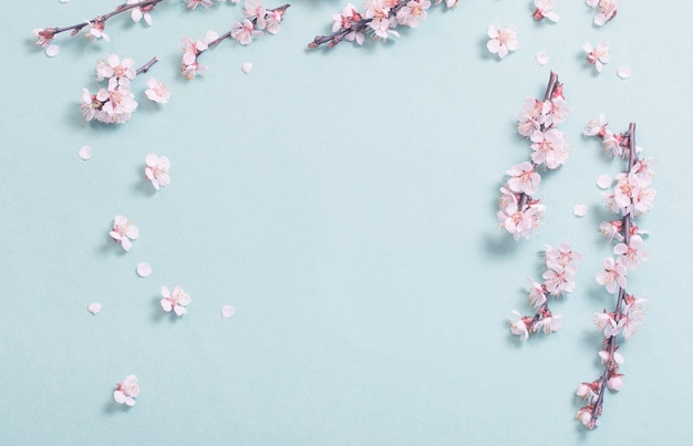 Fiori di ciliegio rosa su sfondo di carta