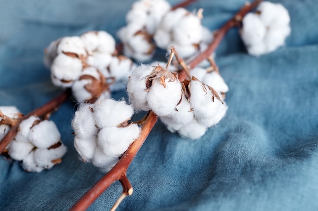 Fiori di cotone bianco su tessuto blu turchese