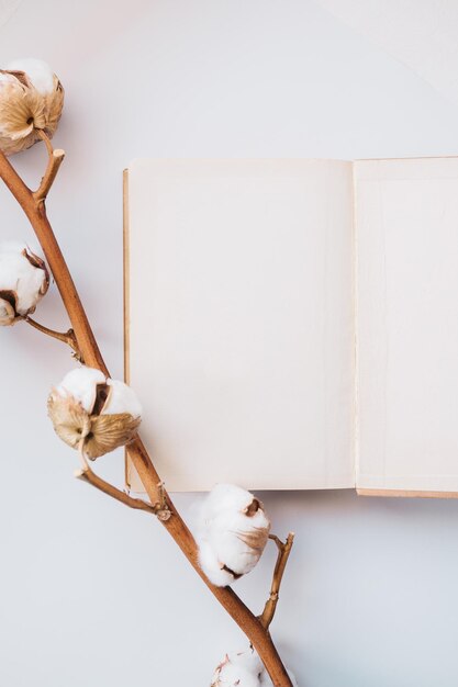 Fiori di cotone e libro bianco