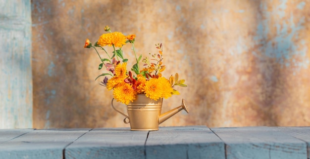 fiori di crisantemo in annaffiatoio dorato su sfondo vecchio muro alla luce del sole