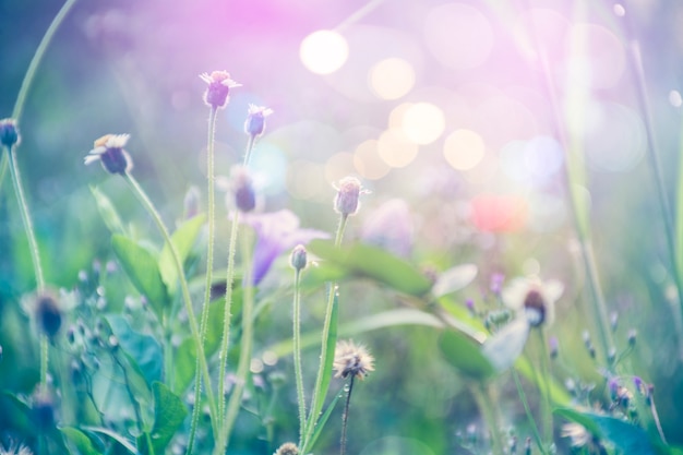 fiori di erba in stile vintage colore trama per lo sfondo