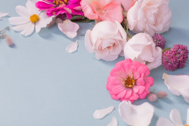 Fiori di estate sul fondo della carta blu