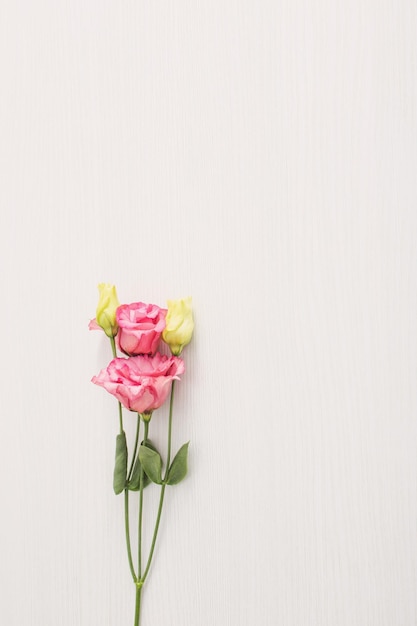 Fiori di eustoma su fondo di legno bianco