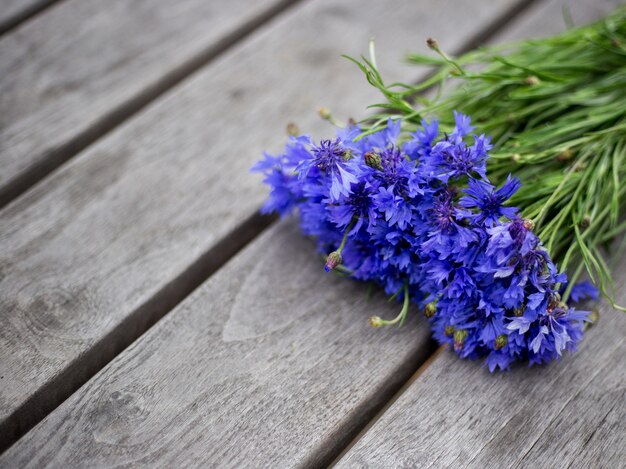 Fiori di fiordaliso blu, bouquet di fiori di campo estivo su fondo di legno grigio, spazio della copia