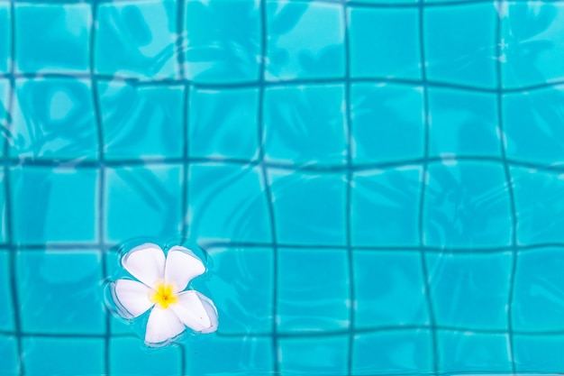 Fiori di frangipane in piscina