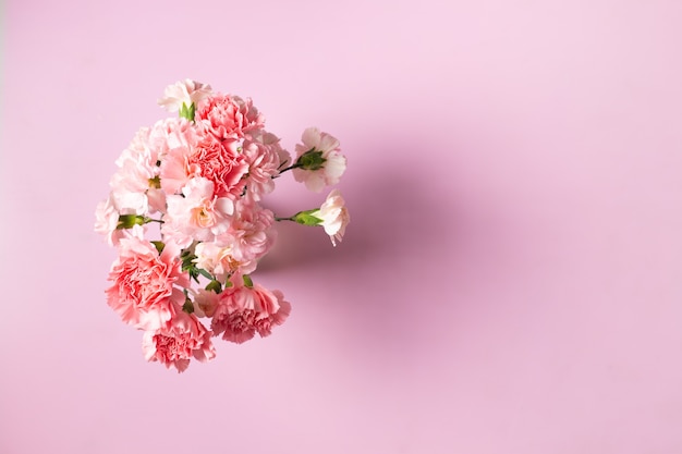 Fiori di garofano su sfondo rosa, festa della mamma e San Valentino