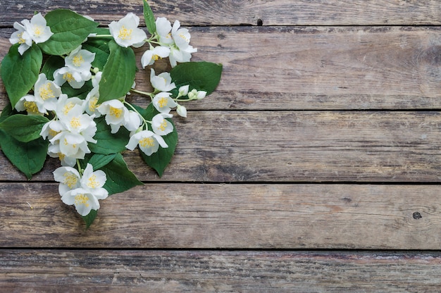 Fiori di gelsomino bianco su rustico