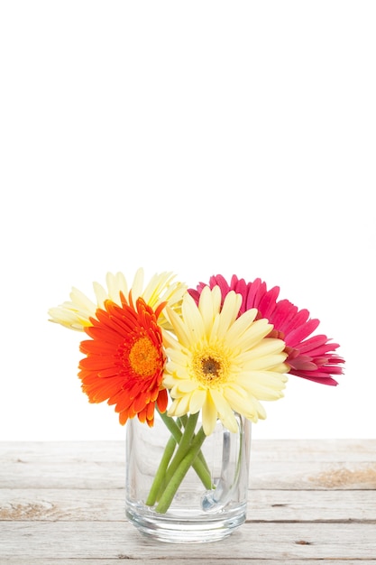 Fiori di gerbera colorati sul tavolo di legno con spazio di copia