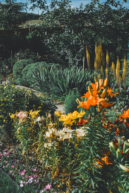 Fiori di giardino. giardino fiorito