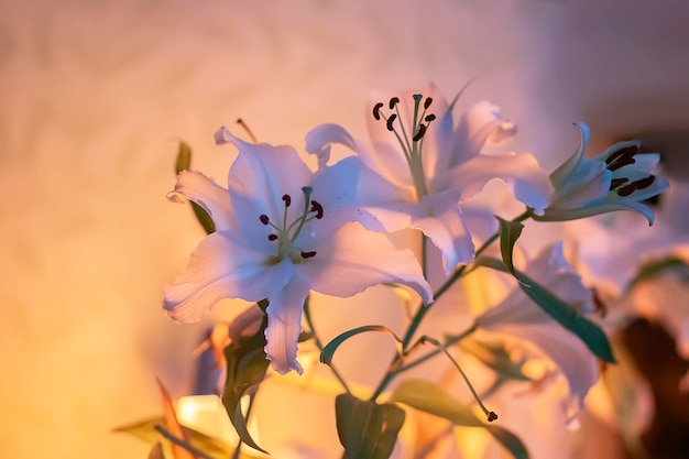 Fiori di giglio bianco a lume di candela calda all'interno.