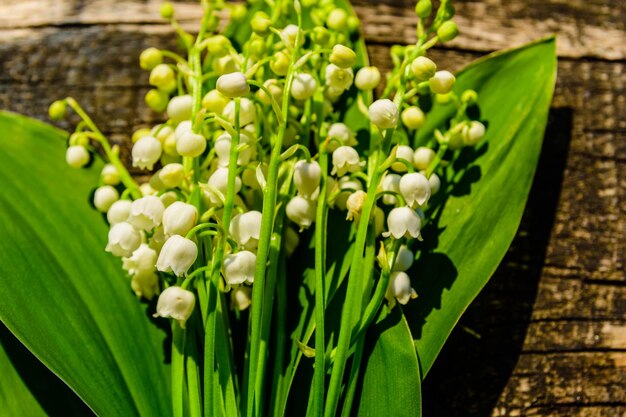 Fiori di giglio sulla cornice di legno vista dall'alto