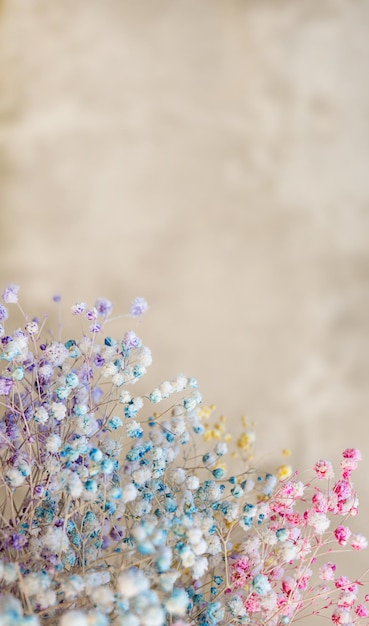 Fiori di gipsofila multicolore in un bouquet con spazio per la copia.