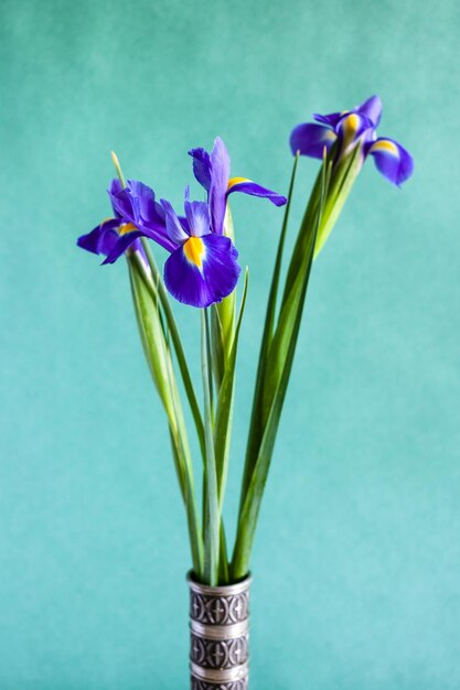 Fiori di iris su sfondo di carta strutturata verde