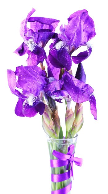 Fiori di iris viola in vaso isolato su bianco