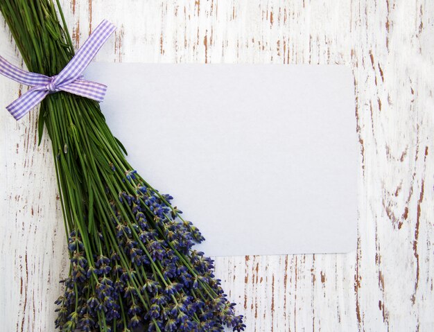 Fiori di lavanda con carta