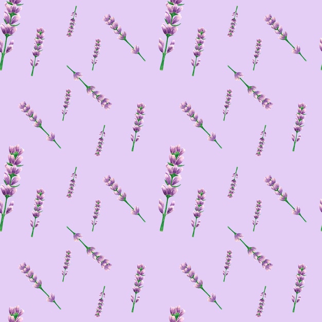 Fiori di lavanda disegnati a mano motivo senza cuciture Lavanda viola acquerello su sfondo viola