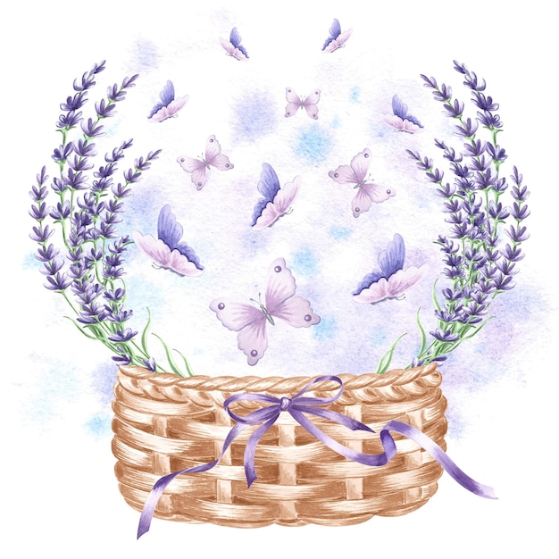 Fiori di lavanda e farfalle in cesto di vimini con arco e nastri illustrazione ad acquerello