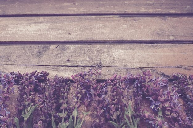 Fiori di lavanda e salvia su un tavolo di legno primo piano tavole orizzontali di legno vecchio scuro con viola a