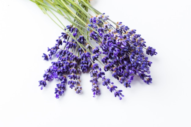 Fiori di lavanda isolati su bianco