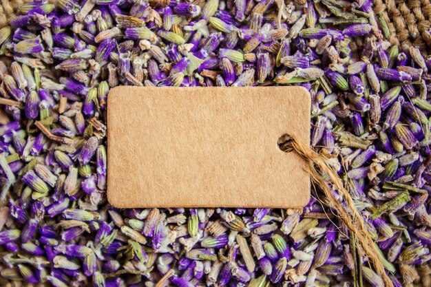 Fiori di lavanda secchi e un tag per il testo. Messa a fuoco selettiva