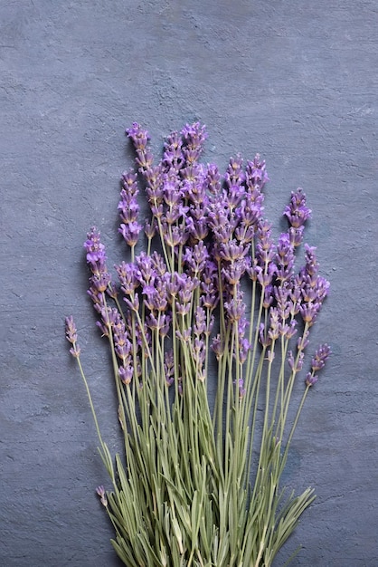 Fiori di lavanda su fondo in cemento vista dall'alto Formato verticale