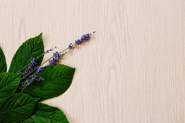 Fiori di lavanda su fondo in legno