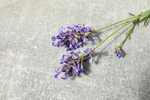 Fiori di lavanda su sfondo grigio con texture primo piano