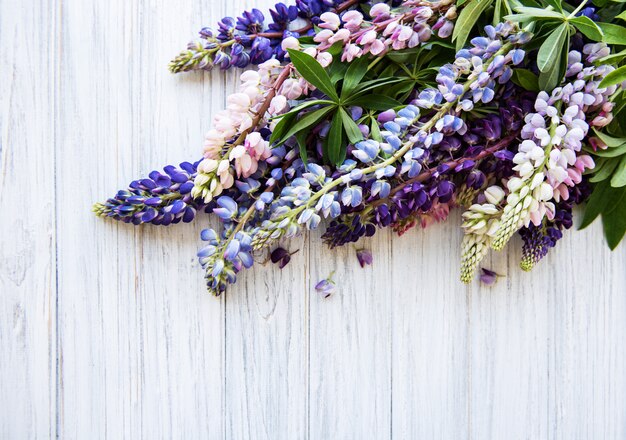 Fiori di lupino rosa e viola