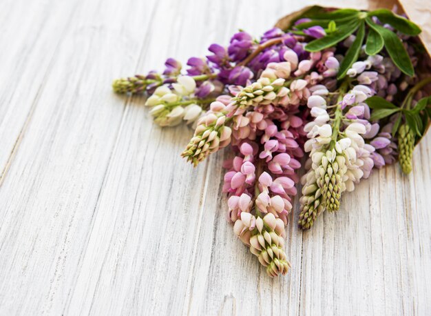 Fiori di lupino rosa