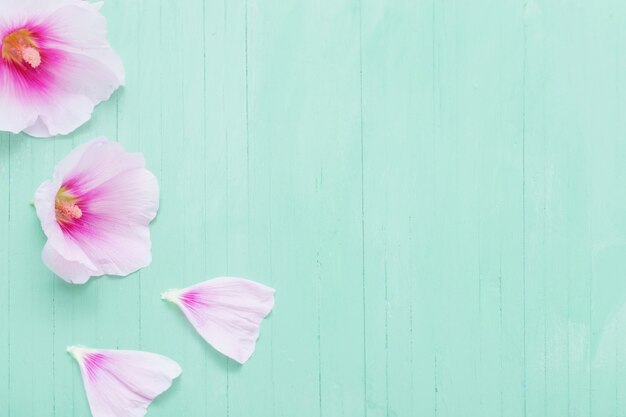 Fiori di malva su legno verde