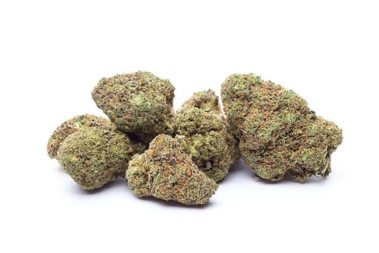 Foto fiori di marijuana isolati su uno sfondo bianco