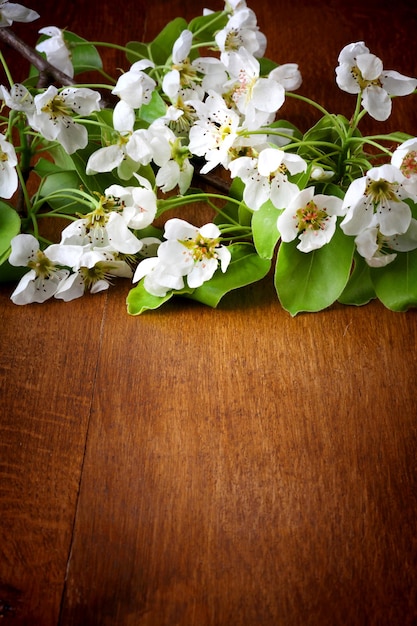 Fiori di melo su fondo di legno