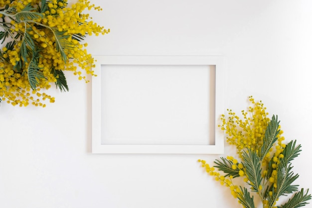 Fiori di mimosa e una cornice per foto bianca vuota su sfondo bianco con copia spazio per il testo Workshop per fare baguette Un luminoso certificato di vacanza Un biglietto di auguri