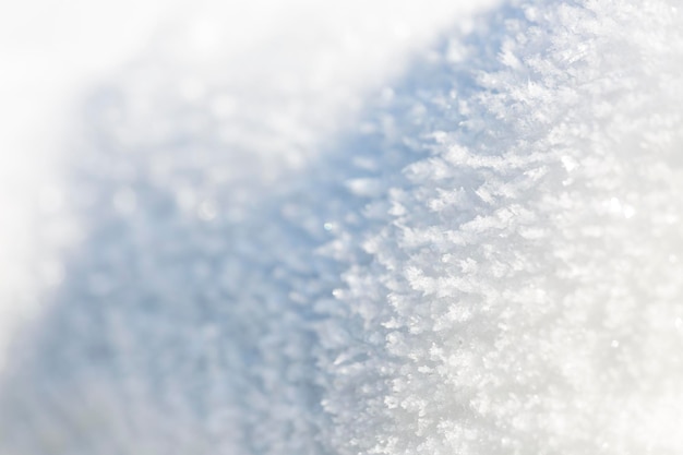 Fiori Di Neve E Ghiaccio