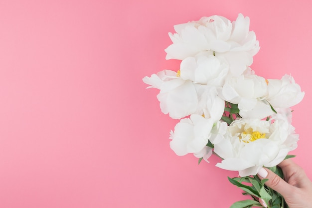 Fiori di peonia bianca in fiore