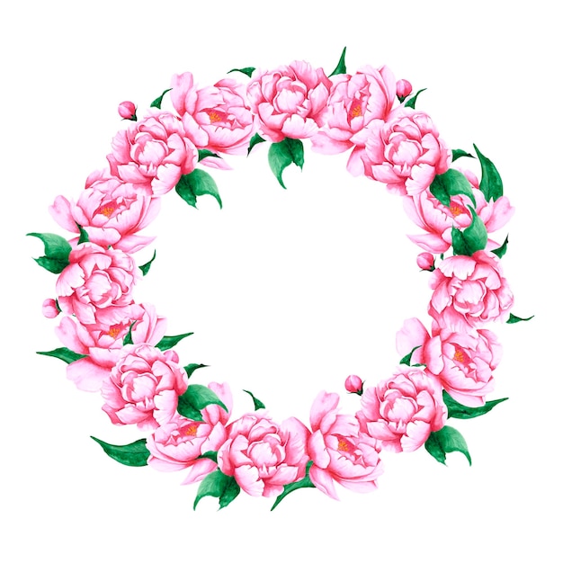 Fiori di peonia rosa acquerello disegnati a mano cornice rotonda e boccioli su sfondo bianco