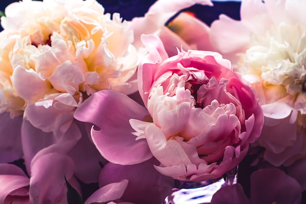 Fiori di peonia rosa come sfondo di arte floreale botanica flatlay e marchio di lusso