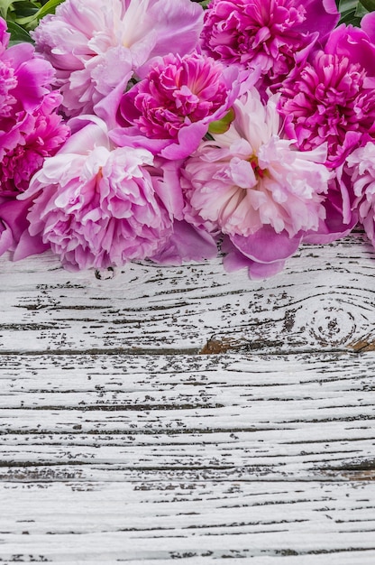 Fiori di peonia sulla parete rustica in legno