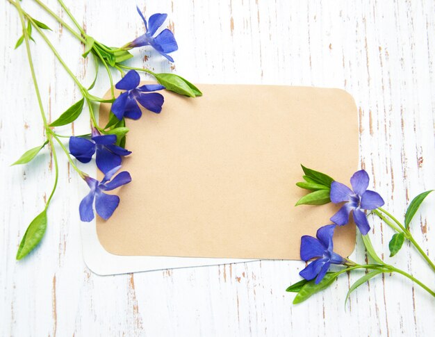 Fiori di pervinca con carta