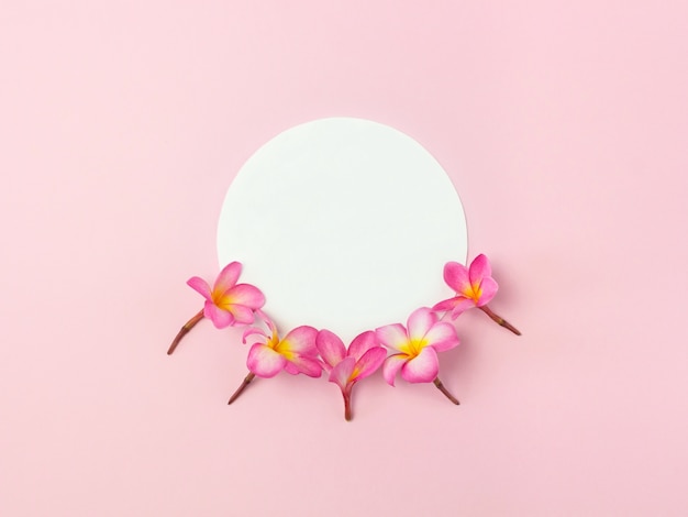 Fiori di Plumeria distesi sul rosa con mockup.